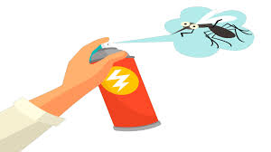 شركة مكافحة حشرات شرق الرياض 0506422437