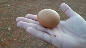 طرق كشف المياه السطحية 0506422437