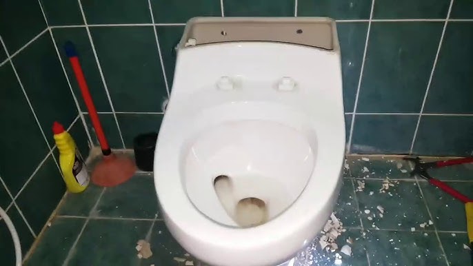 مشاكل كرسي الحمام